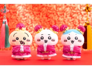 4582662913400 2 700x