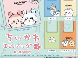 Chiikawaecobag3 Dp