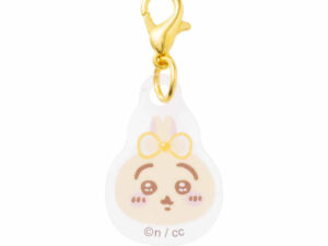 Photo 2024 09 15 10 18 17