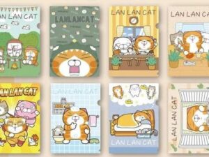 Photo 2024 09 29 16 48 32