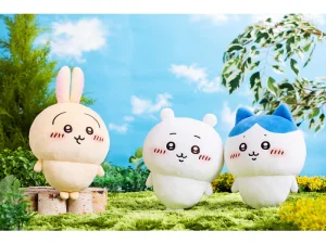 4582662917835 2 700x